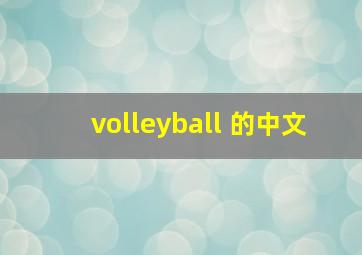 volleyball 的中文